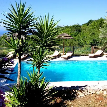 Guest house Silvana *